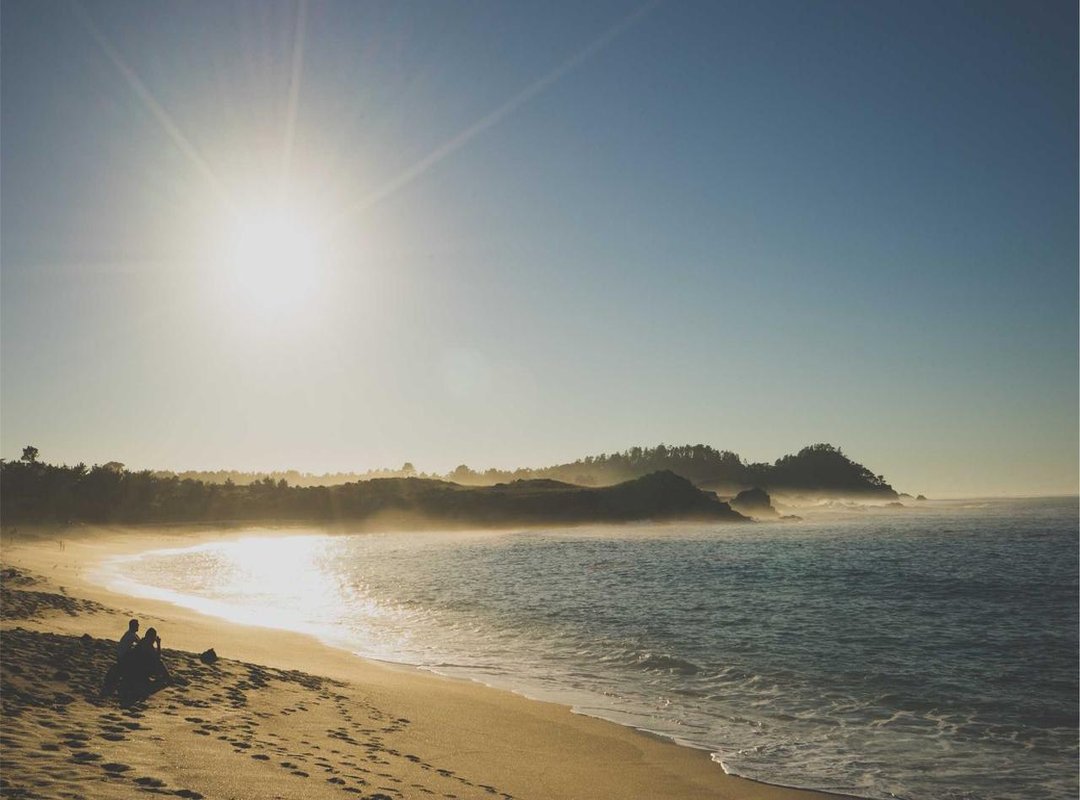 Modern Digital Archives: The Successors to the DVD