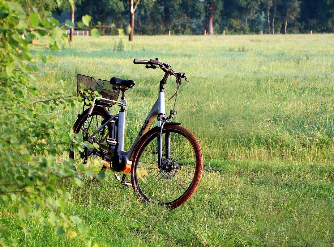 tech tools for riders